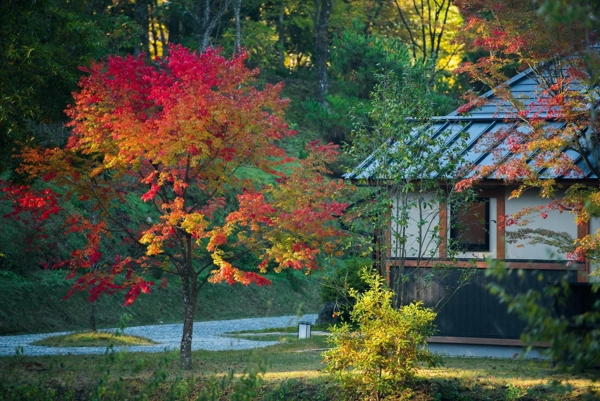 Miyama Sansou Minamioguni Exterior foto