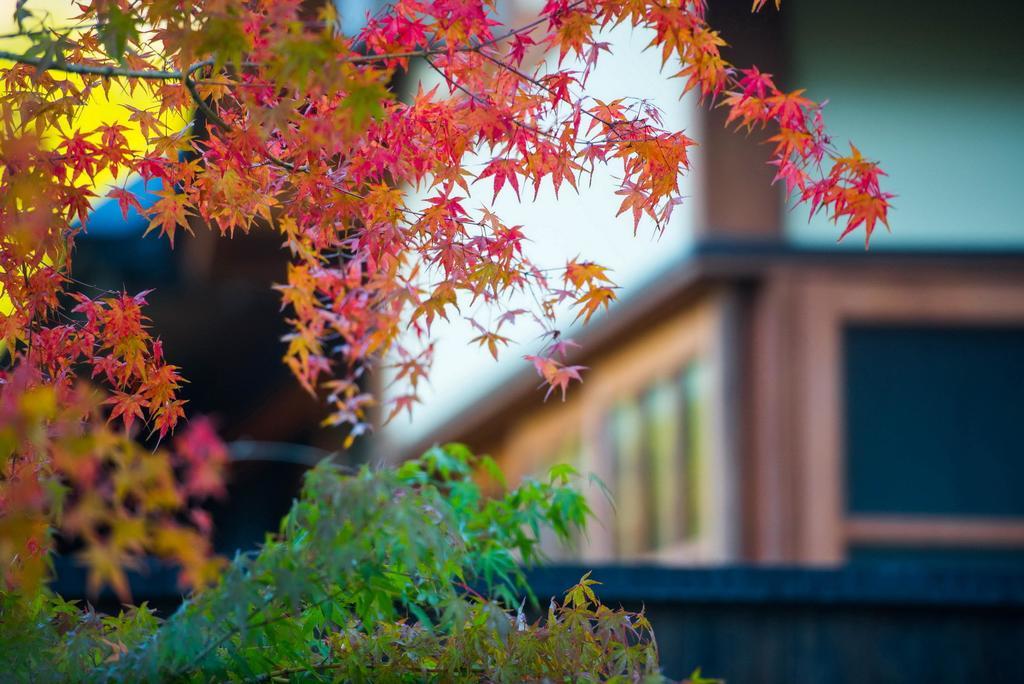 Miyama Sansou Minamioguni Exterior foto